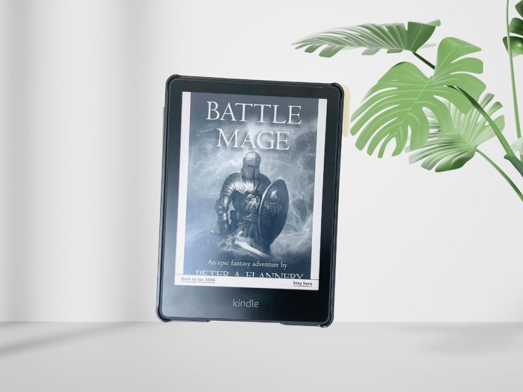 Battle Mage by Peter A. Flannery book image