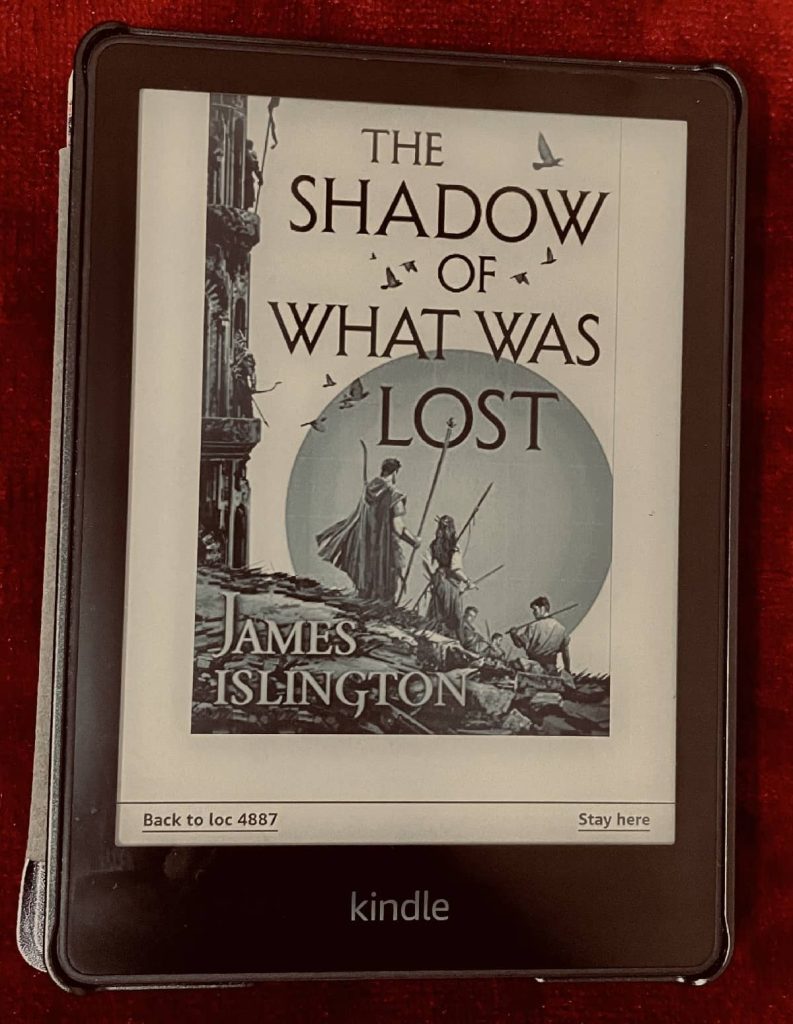 The Shadow of What Was Lost book cover